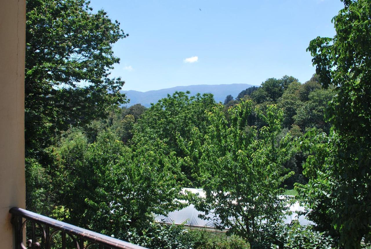 Agriturismo Roseto Villa Serra San Bruno Kültér fotó